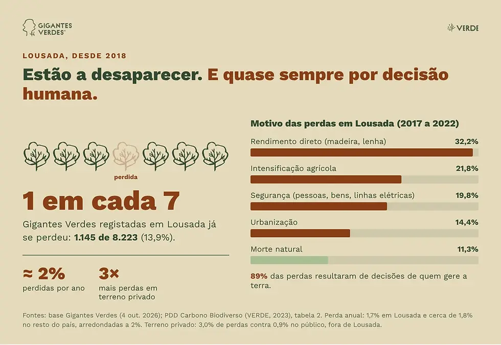 Sete ícones de árvore, um deles esbatido, a mostrar que uma em cada sete Gigantes Verdes de Lousada já se perdeu, e os motivos das perdas.