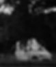 IMG_7956.jpeg