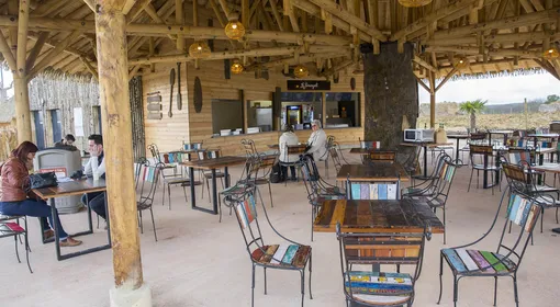 restaurant dans le zoo de beauval-tropical.webp