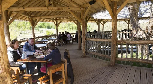restaurant dans le zoo de beauval-tropical.webp