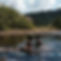 Swim in the river at Eco-Logic Thailand