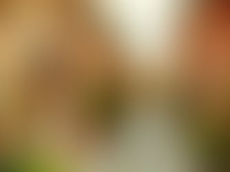 Vesta Group: El encanto mediterráneo y cómo integrar la esencia de Mallorca en tu casa.