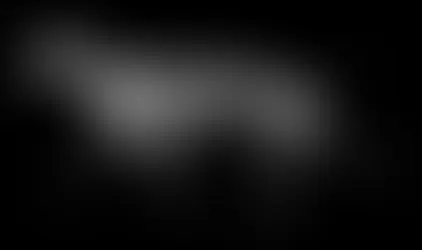 The Veterinary Approach