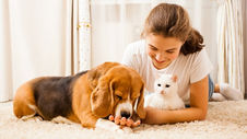 Bringing Your Pet Home
