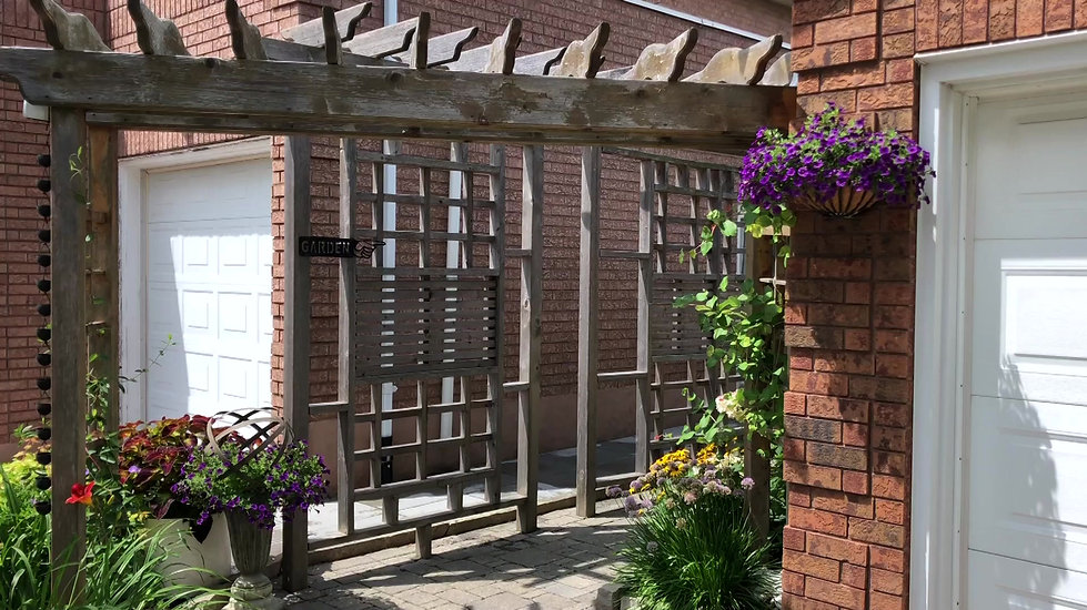 Gallery Markham Garden Club Featured Gardens