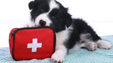 First Aid