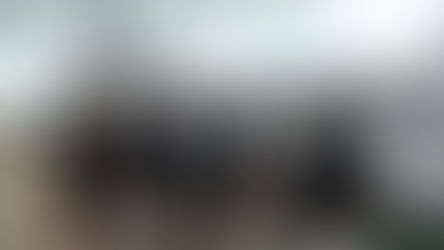 Dịch Covid có ảnh hưởng như thế nào đến lực lượng nhân sự của ngành du thuyền?