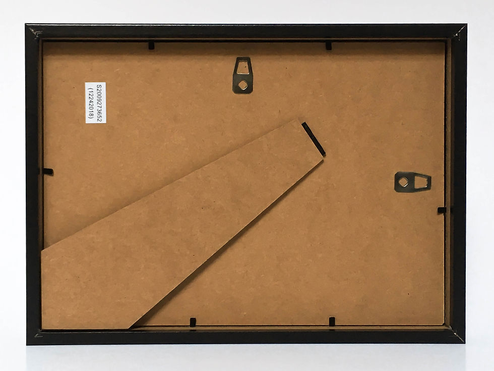 Miniatura: PLANT INSECT #2 CZARNY