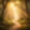 Sunlit forest path in golden light.png