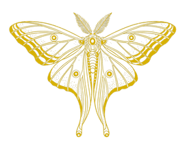 transforming-trauma-into-empowerment-thr