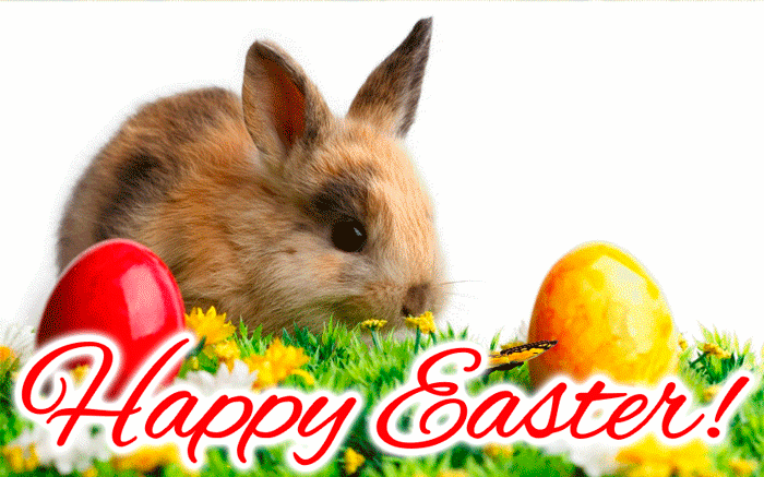 happy-easter-6.gif
