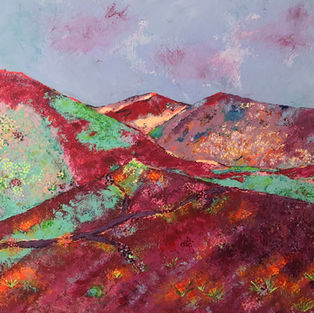 One of nature's rare and majestic events, when the California desert bursts into a vibrant display of blooming flowers.