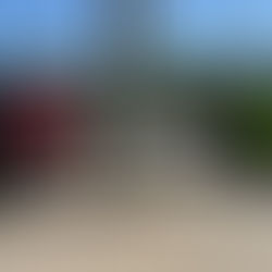 !!! JEEPS JEEPS JEEPS !!!