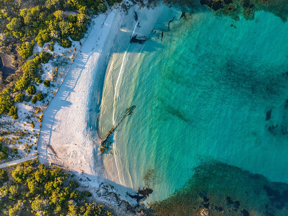 Spiaggia Rosa Sardegna: Budelli, regole e come ammirarla dal mare