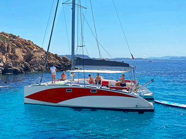Catamarano a vela o barca a vela: differenze e quale scegliere