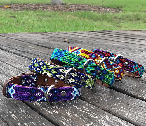 Dog Collars