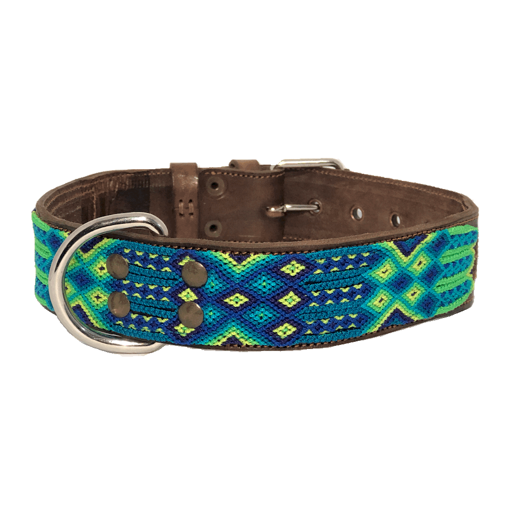 Large Blue/Green Color