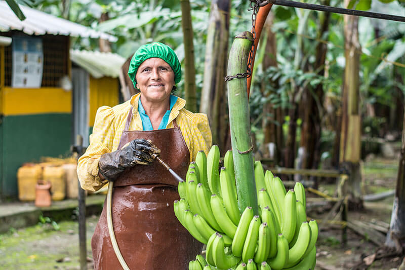 FENACLE - Promoviendo los derechos laborales en el sector bananero de Ecuador