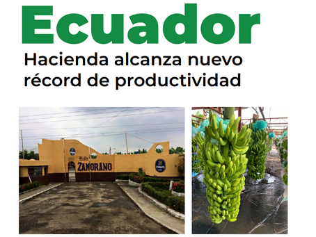 ECUADOR: Hacienda alcanza nuevo
récord de productividad.