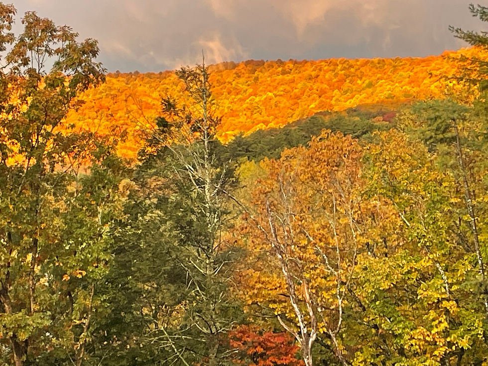 This is the view right after you close!!!