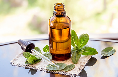 Peppermint Bark Essential Oil.png