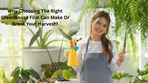 Why Choosing The Right Greenhouse Film Can Make Or Break Your Harvest?