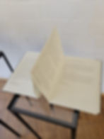 Anna Magdalena Bachs Tagebuch