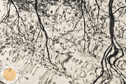 Encre-26