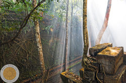 Cambodia1-9