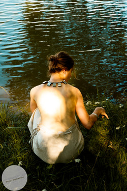 Summer Forest