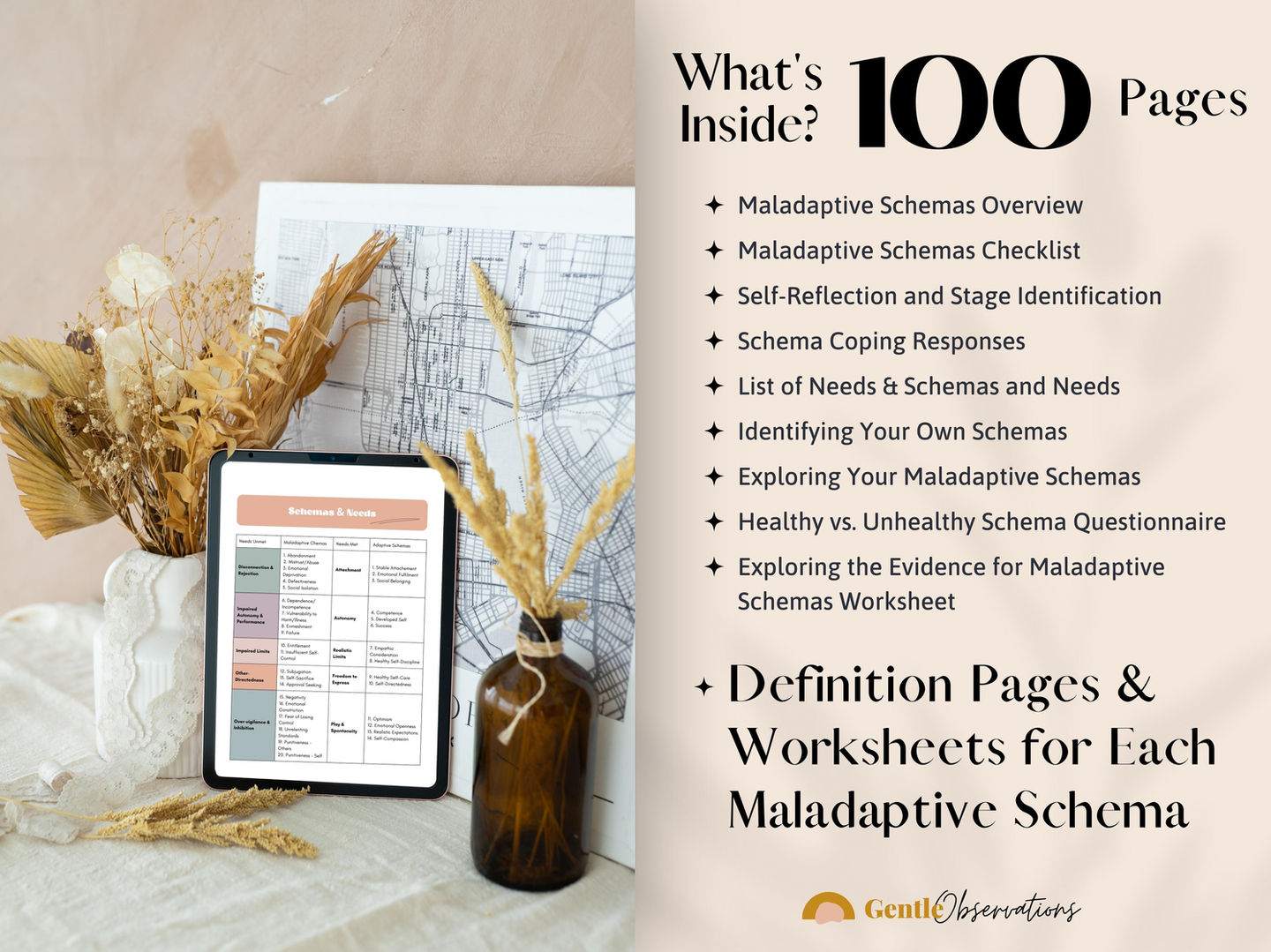 Workbook contents: 100 pages on maladaptive schemas