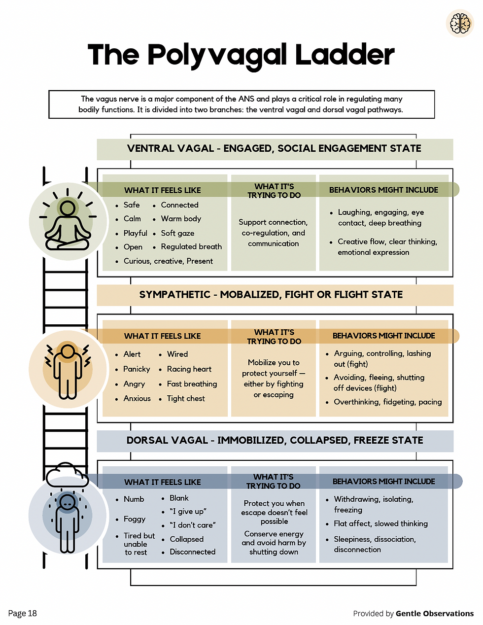 Nervous System Regulation in Session: A Practical Guide to Polyvagal-Informed and Somatic Tools for Therapists