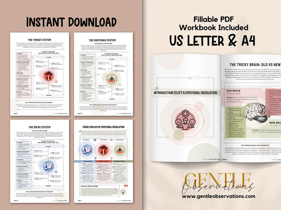 Preview of 'Emotional Regulation' PDF workbook pages