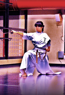 Iaido