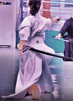 Iaido