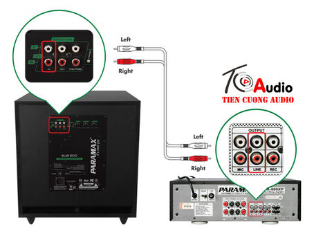 Hướng dẫn kết nối loa sub với Amply chuẩn 100%
