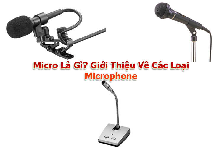 micro là gì