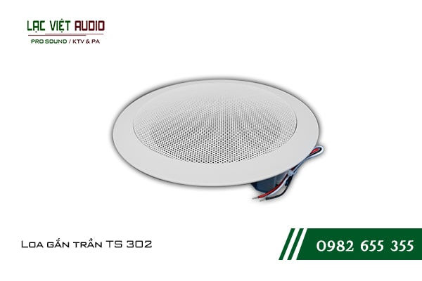 Kể cả các dòng loa âm trần, hoặc loa nén cũng đều là loa passive cả