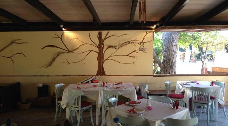 The 50/50 Greek Taverna in Sidari, Corfu