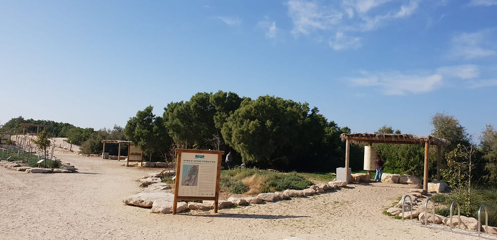 מבואת כניסה לפארק 1
