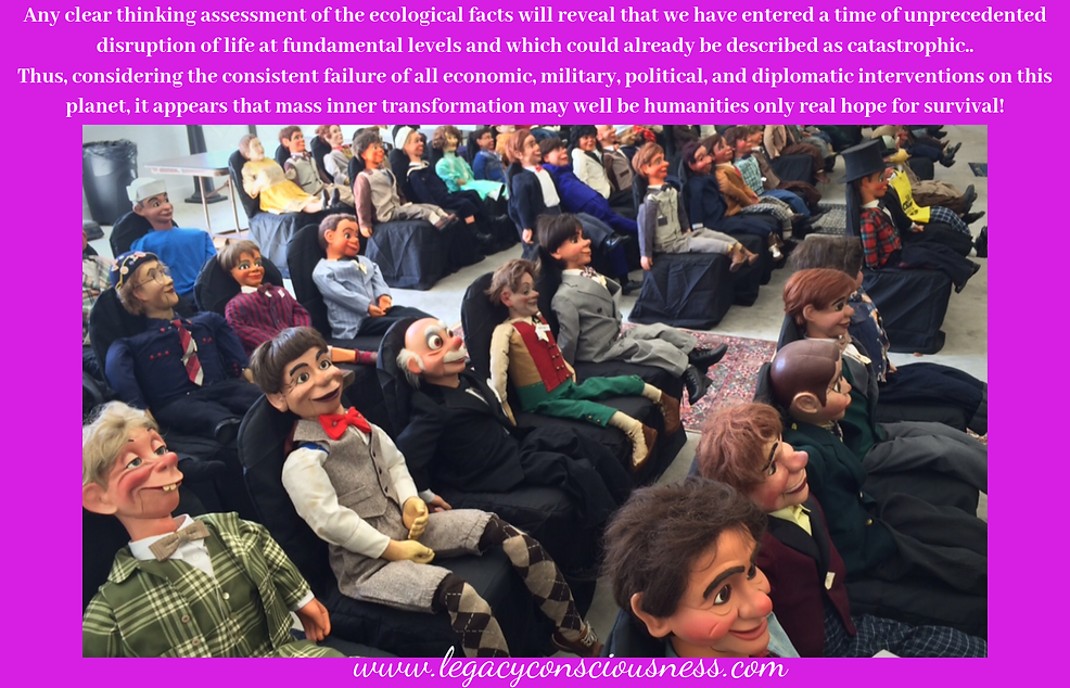 www.legacyconsciousness.com(2).png