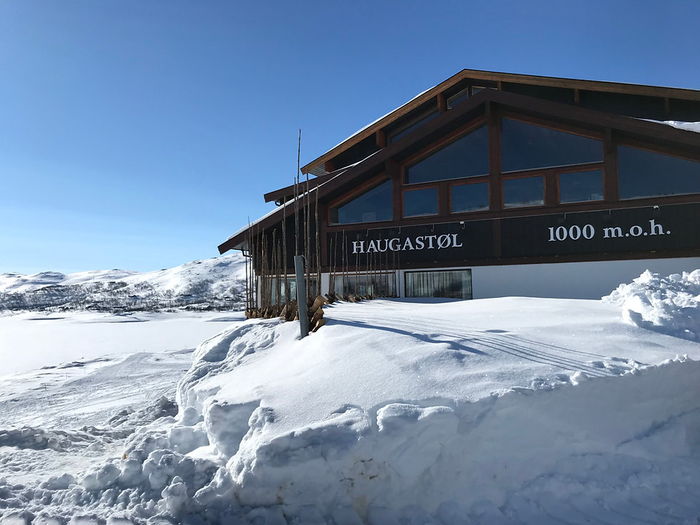Haugastøl 1000 moh
