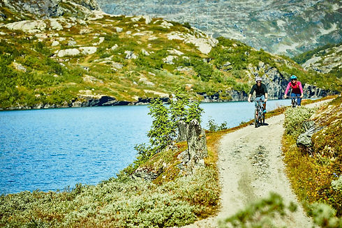 Mountain bike rallarvegen