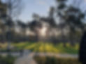 Uitzicht park ochttendzon.jpg