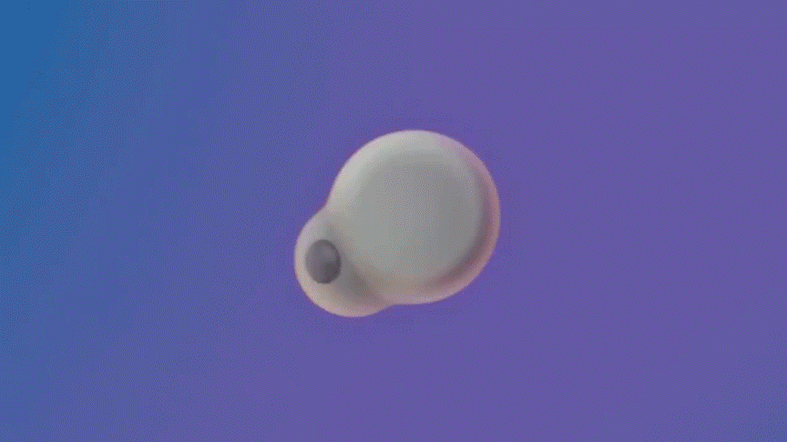 sza-linkbuds.gif