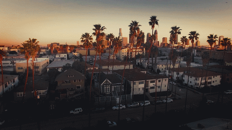 adidas.gif