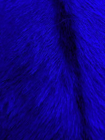 f4cfba_5e9cfdfe79c64a139fa336ffccf48d5a~mv2-BluRay-Adjust.png