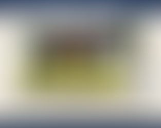 #56 A STREAK OF FASHION