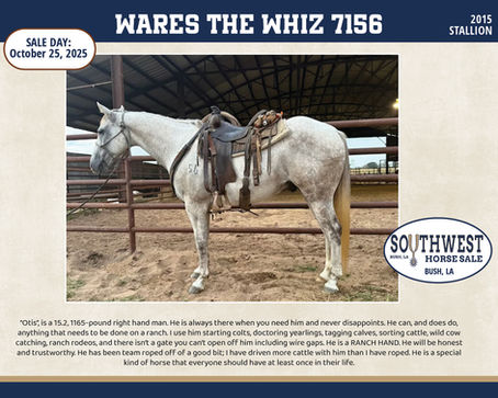 #94 WARES THE WHIZ 7156