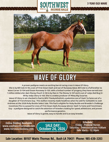 WAVE OF GLORY